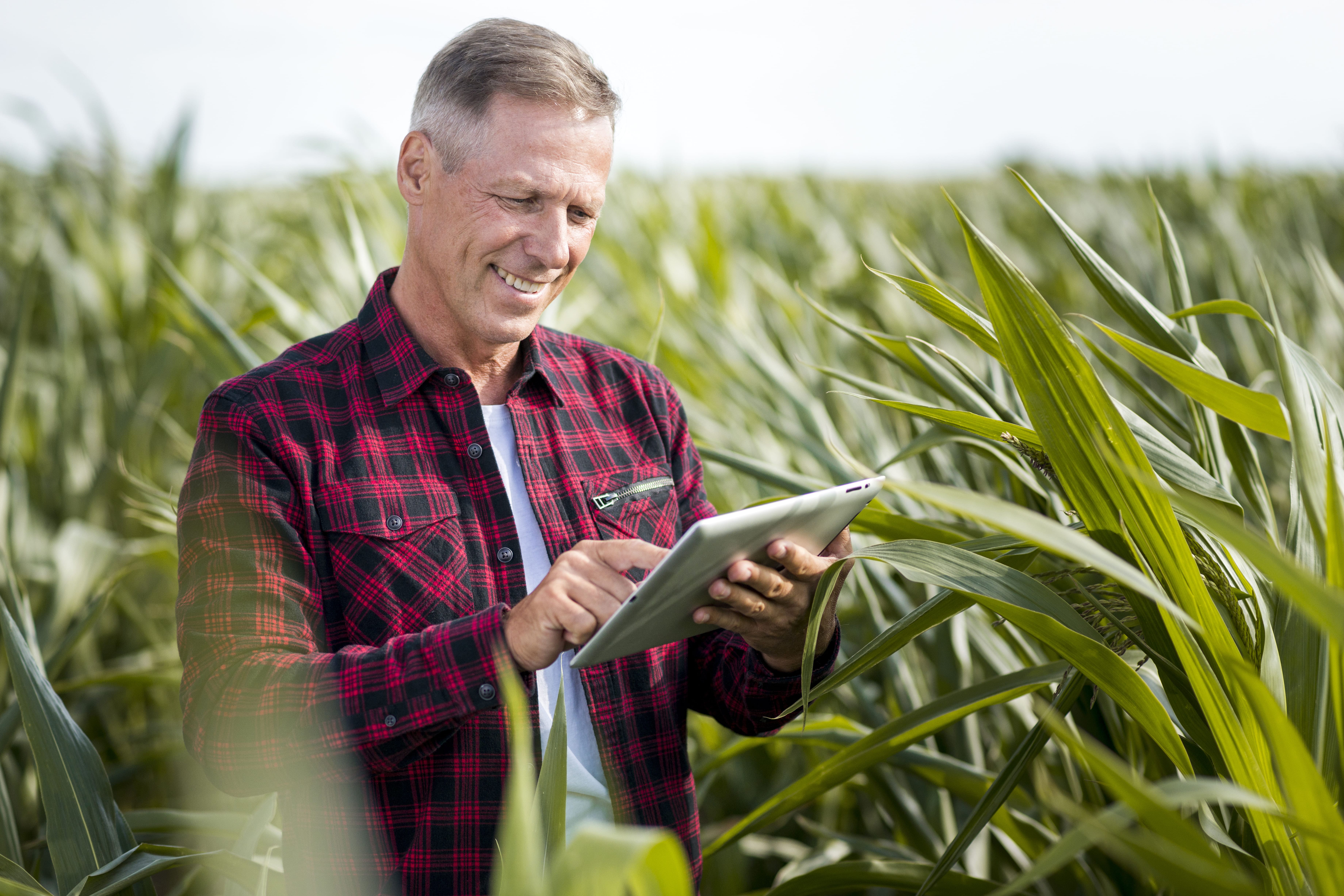AGIS Agro gestión acopios