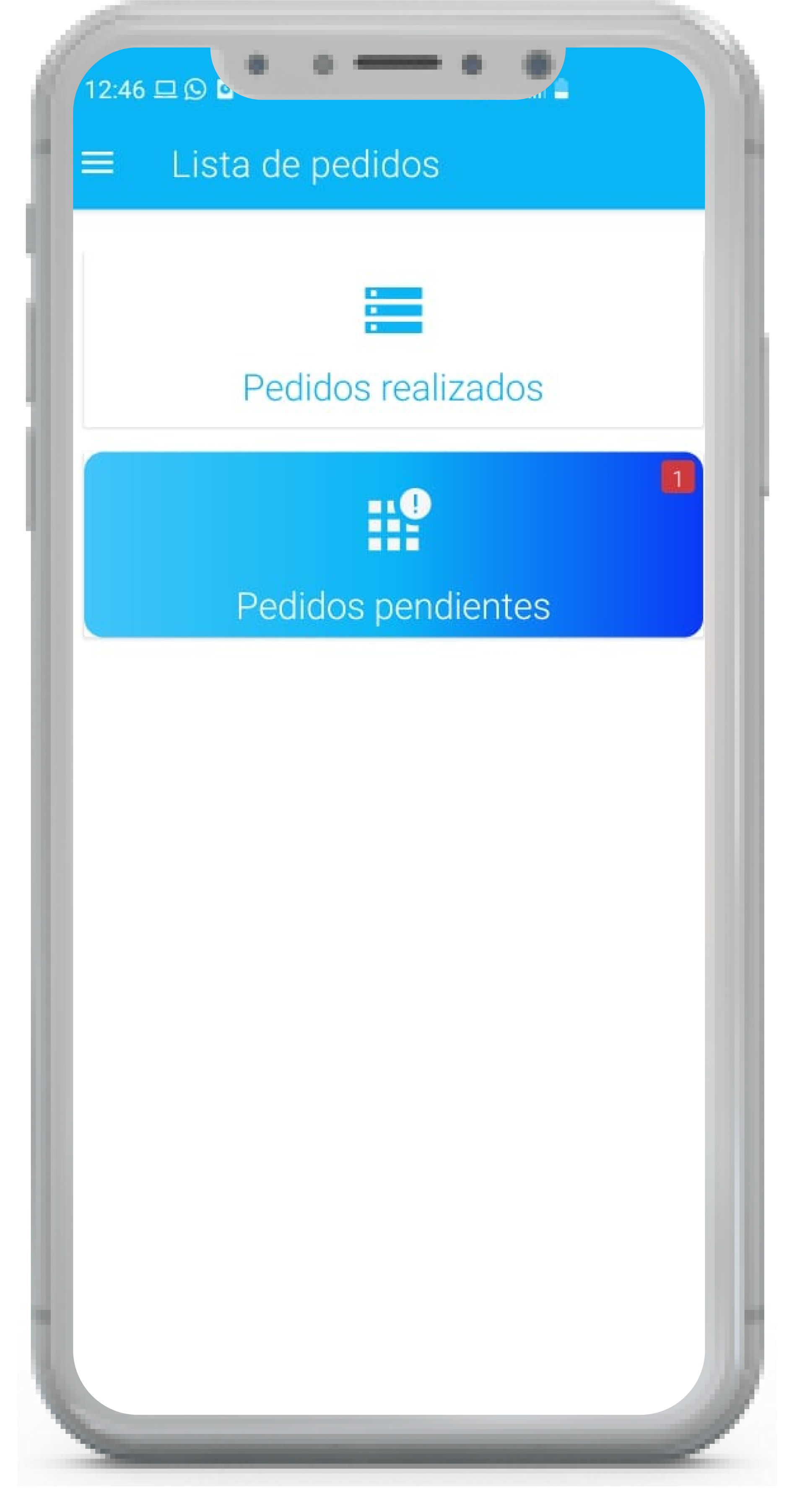  Sistema ERP para Distribuidores y Mayoristas | APP Vendedores | America GIS